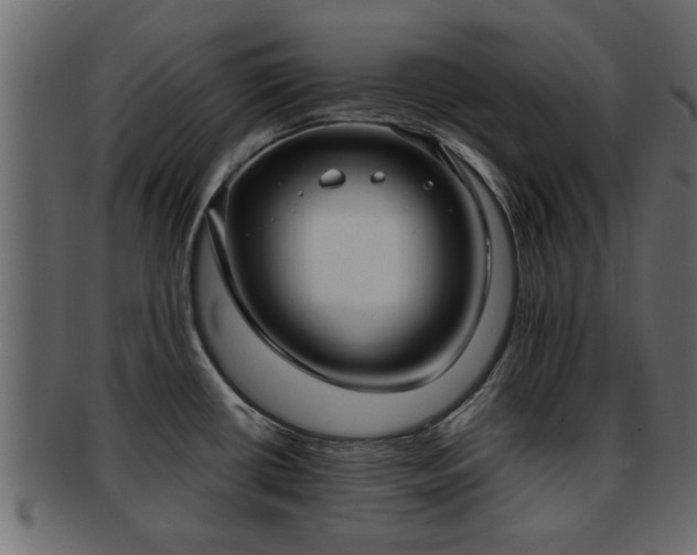 X0000092271434200710041344