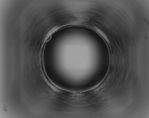 X0000092271437200710041344