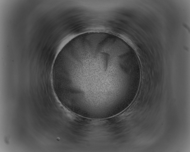 X0000092271440200710041344