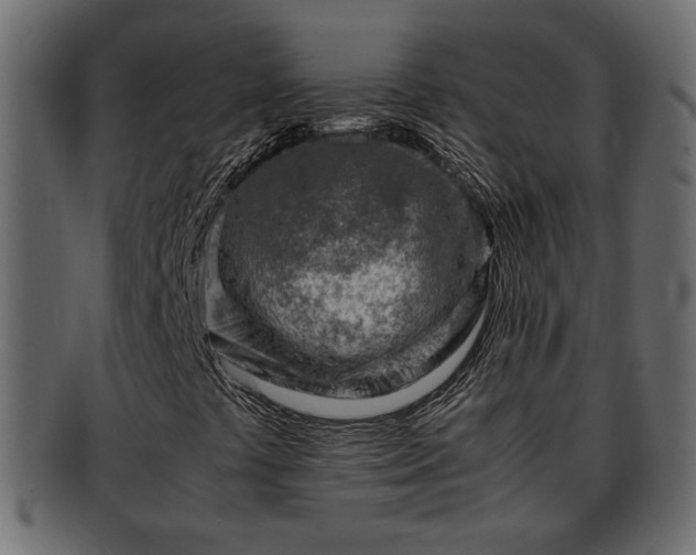 X0000092271441200710041344