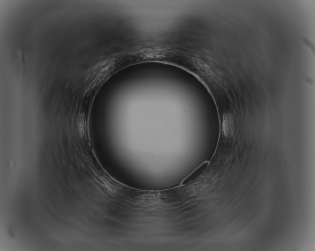 X0000092271444200710041344