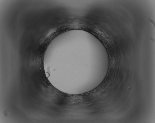 X0000092271446200710041344