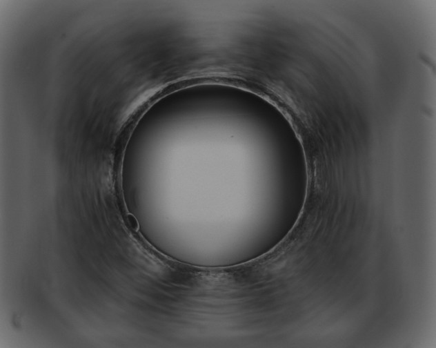 X0000092271452200710041344