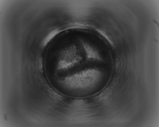 X0000092271455200710041344