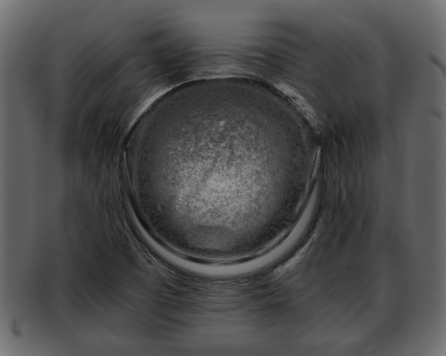 X0000092271457200710041344