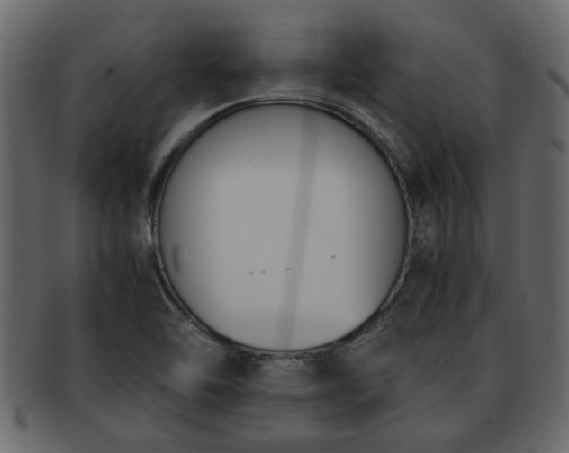 X0000092271462200710041344