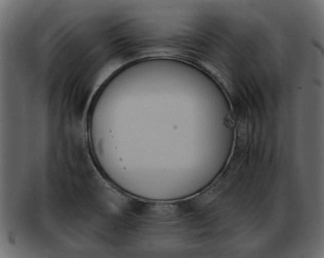 X0000092271466200710041344