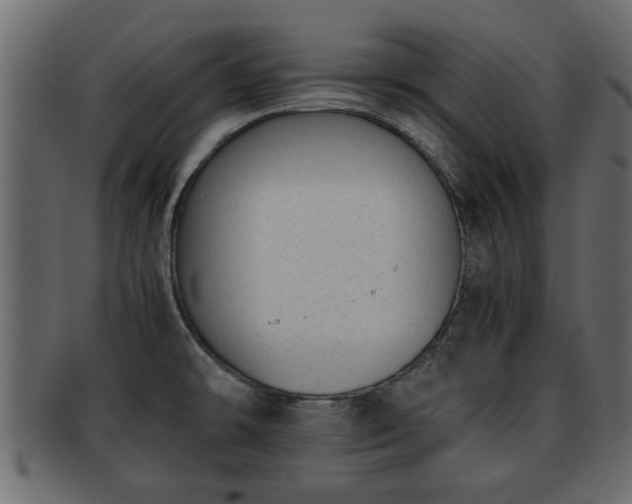 X0000092271478200710041343