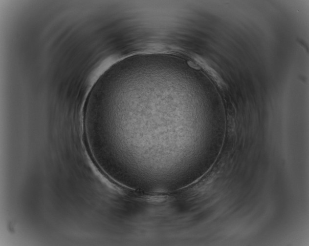 X0000092271479200710041343