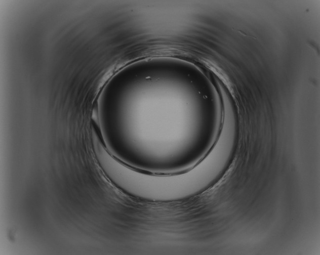 X0000092271481200710041343