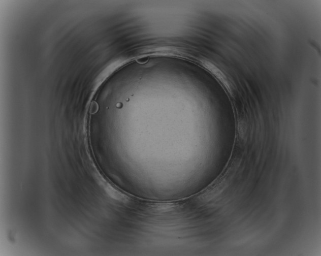 X0000092271482200710041343