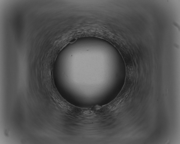 X0000092271489200710041343