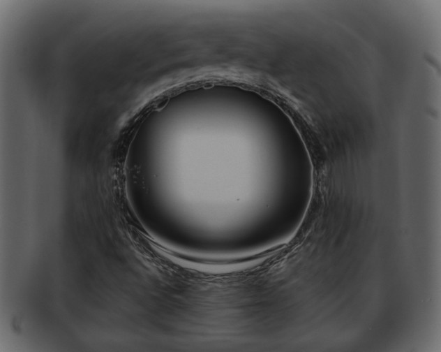 X0000092271496200710041343
