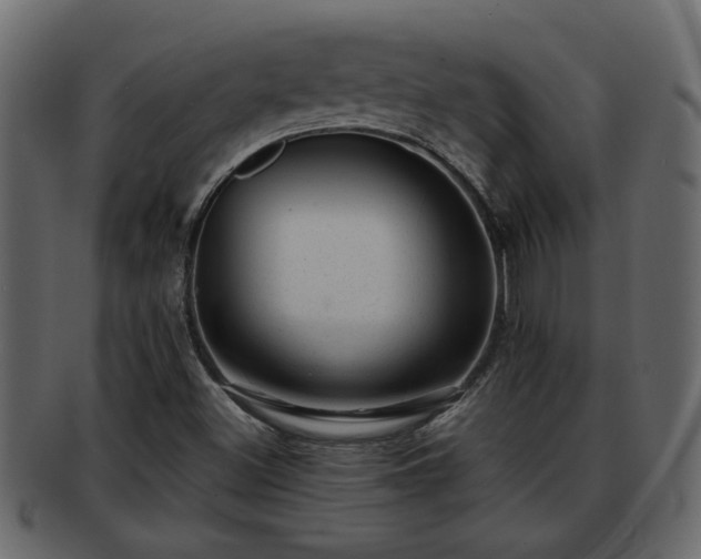 X0000092271500200710041343