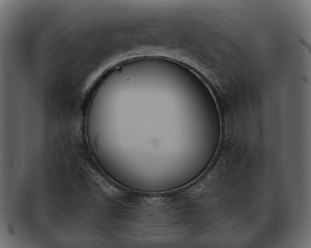 X0000092271502200710041343