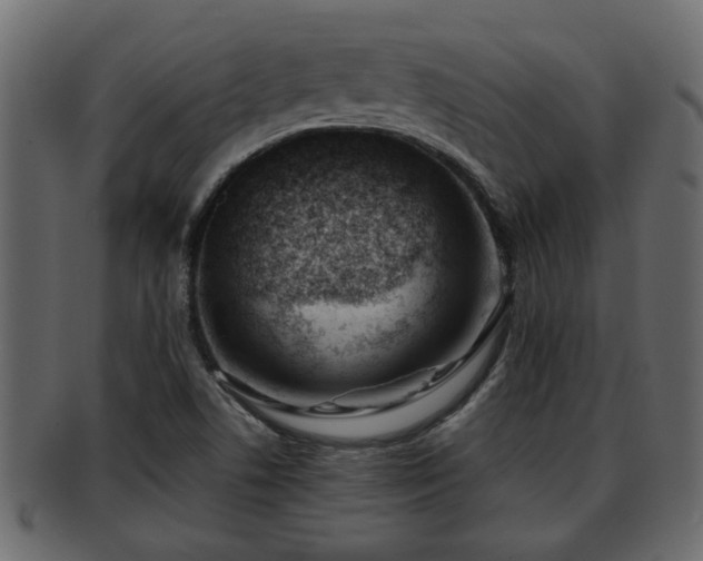 X0000092271506200710041343