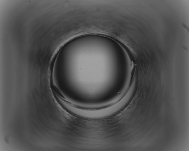 X0000092271508200710041343