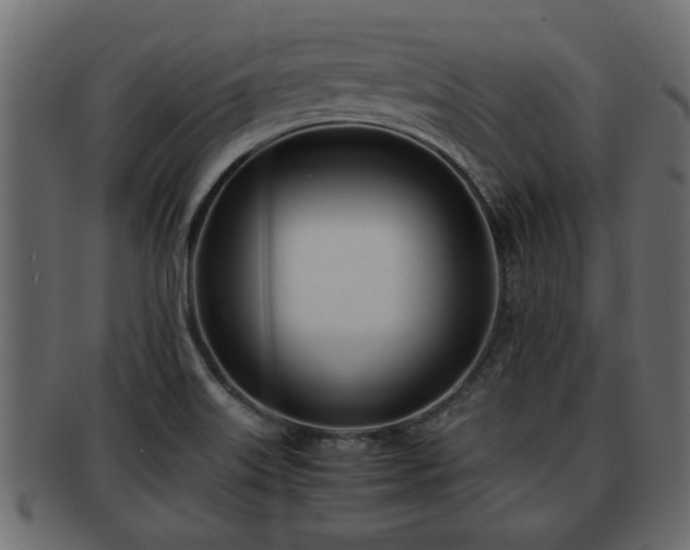 X0000092271515200710041343