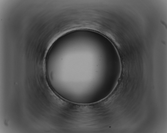 X0000092271516200710041343