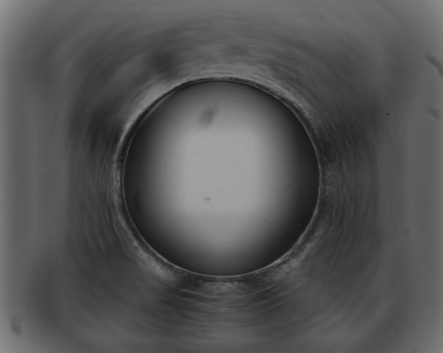 X0000092271517200710041343