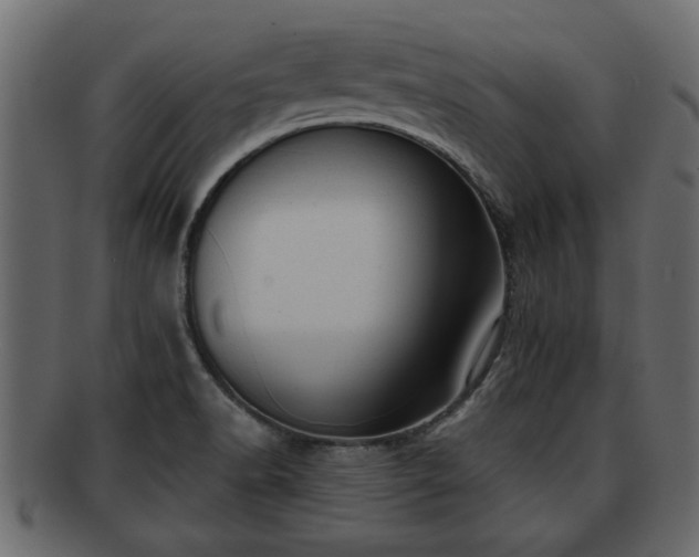 X0000092271518200710041343