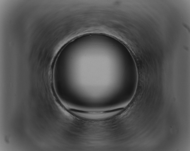 X0000092271519200710041343