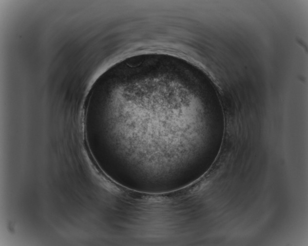 X0000092271522200710041343