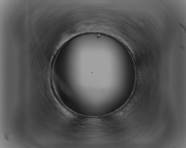 X0000092271525200710041343