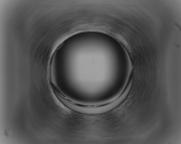 X0000092271528200710041343