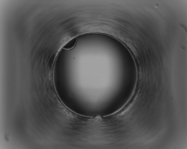 X0000092271529200710041343