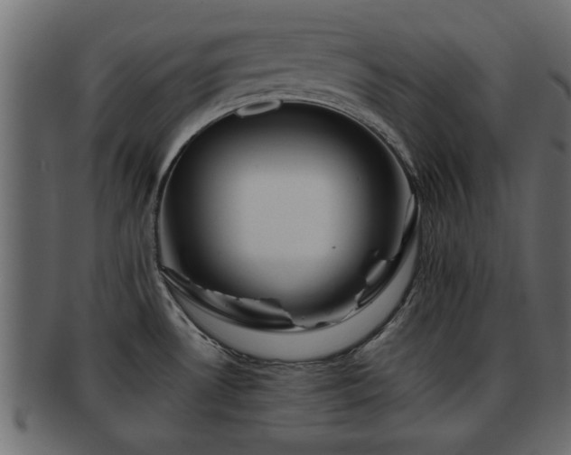 X0000092271530200710041343