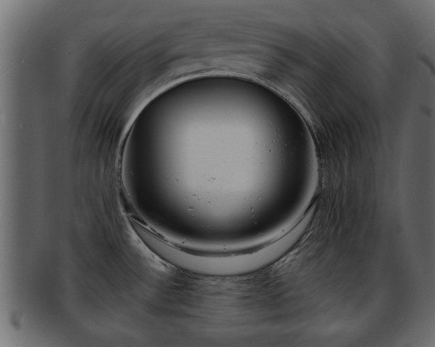 X0000092271532200710041343