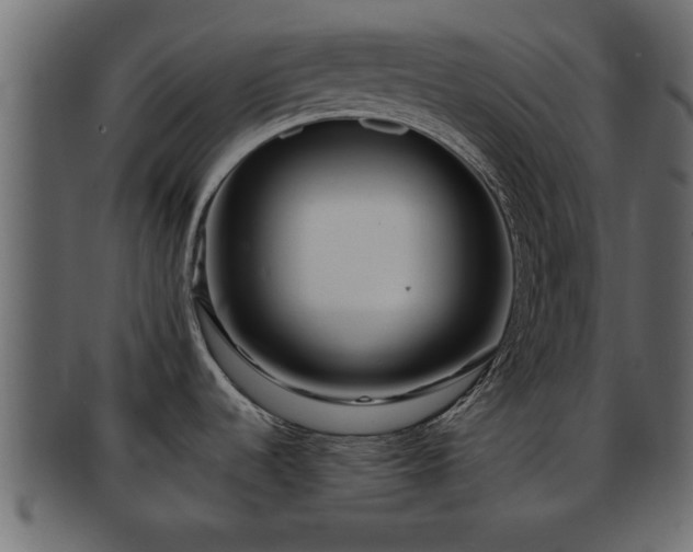 X0000092271536200710041343