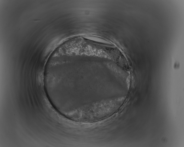 X0000092270002200710051349