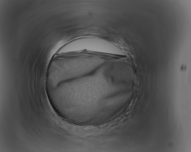 X0000092270003200710051349