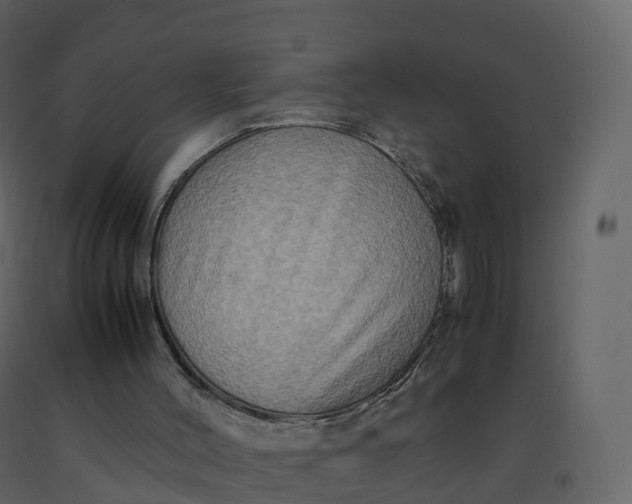X0000092270004200710051349