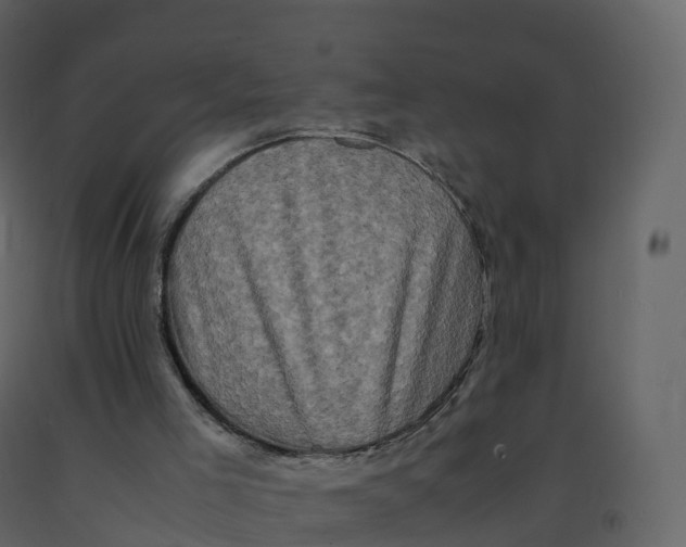 X0000092270005200710051349