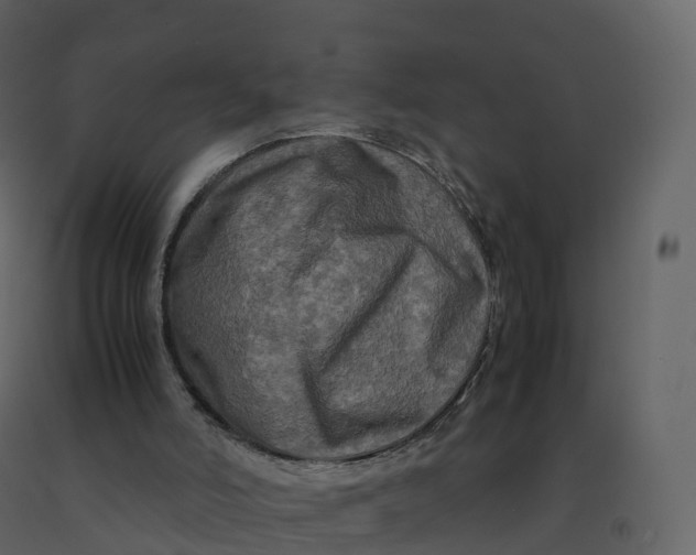 X0000092270006200710051349