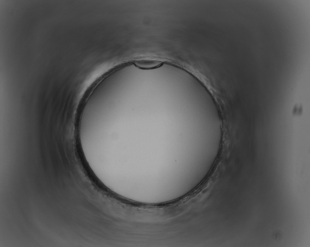 X0000092270008200710051349