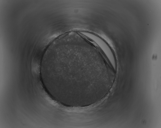 X0000092270009200710051349
