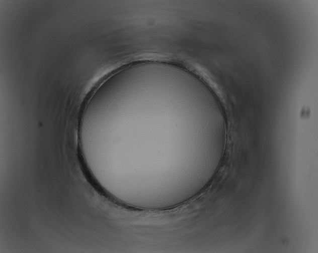 X0000092270011200710051349