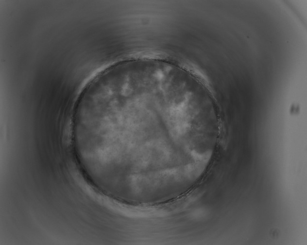 X0000092270012200710051349