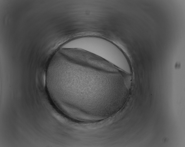 X0000092270013200710051349