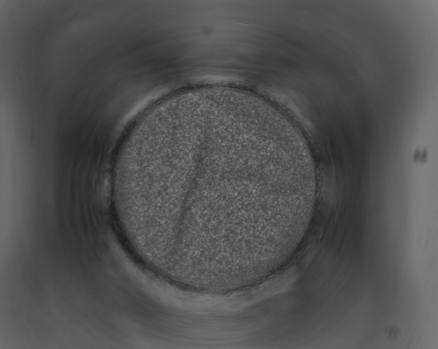 X0000092270016200710051349