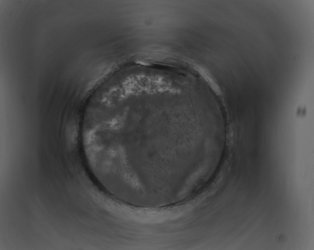 X0000092270018200710051349