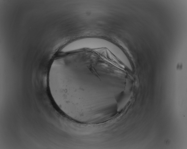 X0000092270019200710051349