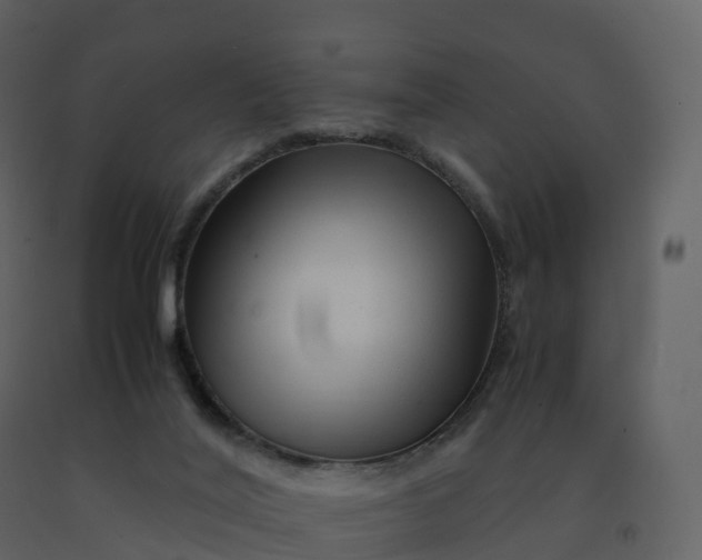X0000092270020200710051349