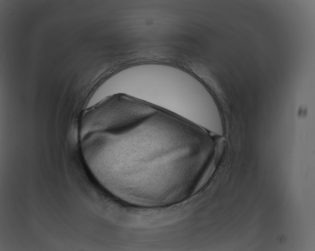 X0000092270021200710051349