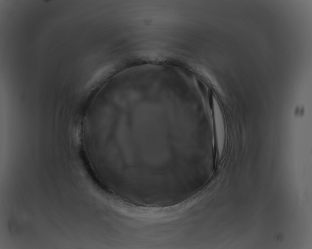 X0000092270023200710051349