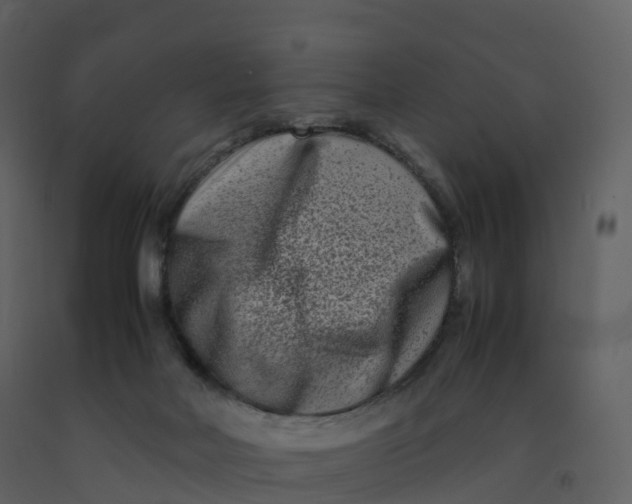 X0000092270026200710051349